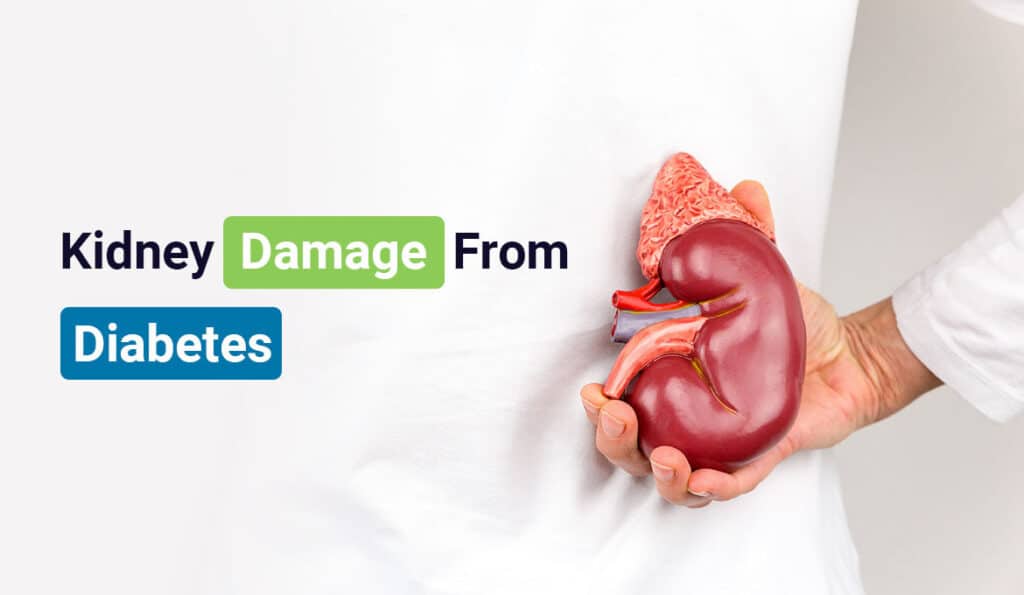 what-are-the-stages-of-chronic-kidney-disease-healthykidneyclub