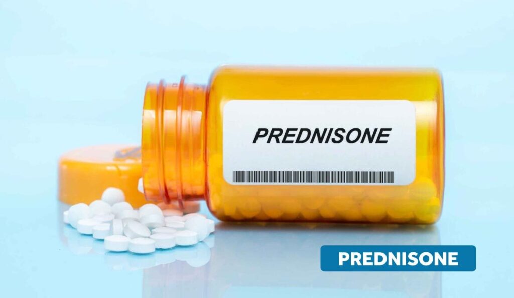 how-long-does-prednisone-stay-in-your-system-after-taking-for-7-days